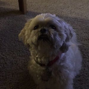 Meet your Posher, Kyle